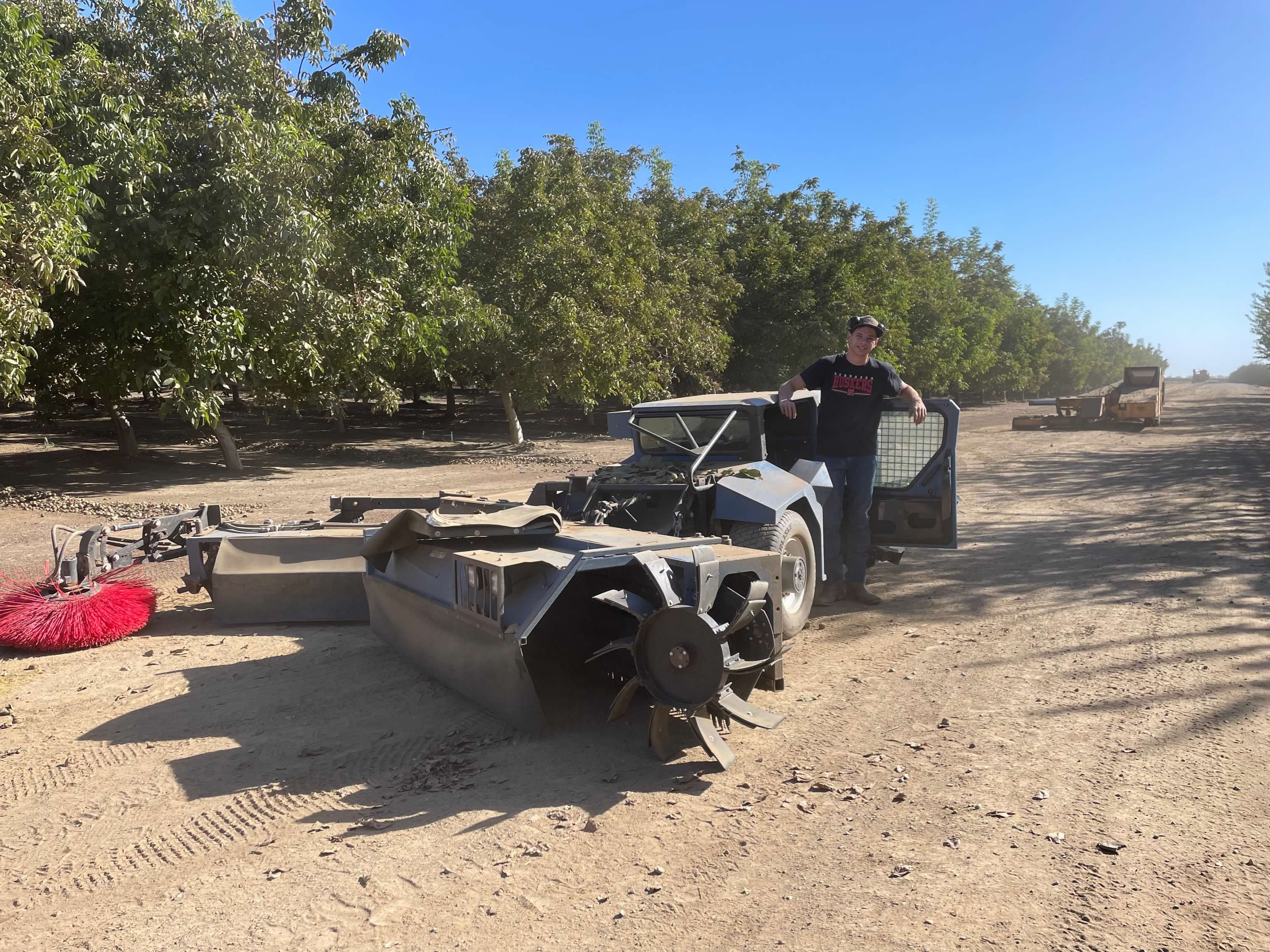Mechanical sweeper windrowing almonds on orchard floor